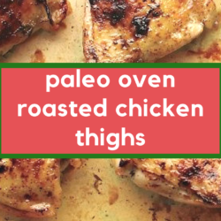 paleo oven roasted chicken thighs